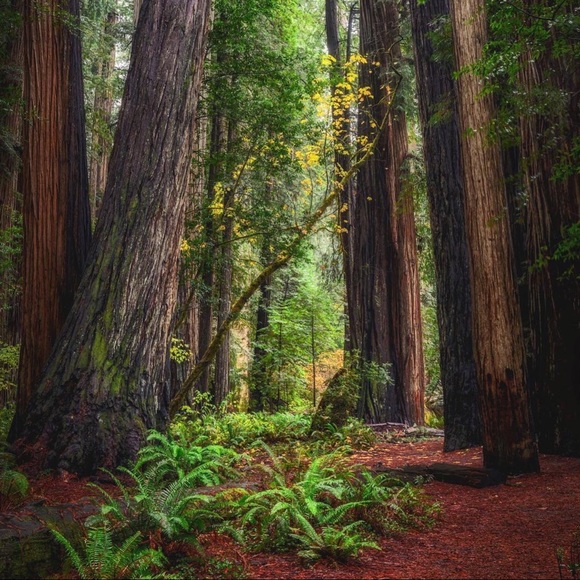 Meet your Posher, Zemtech - Picture 1 of 1